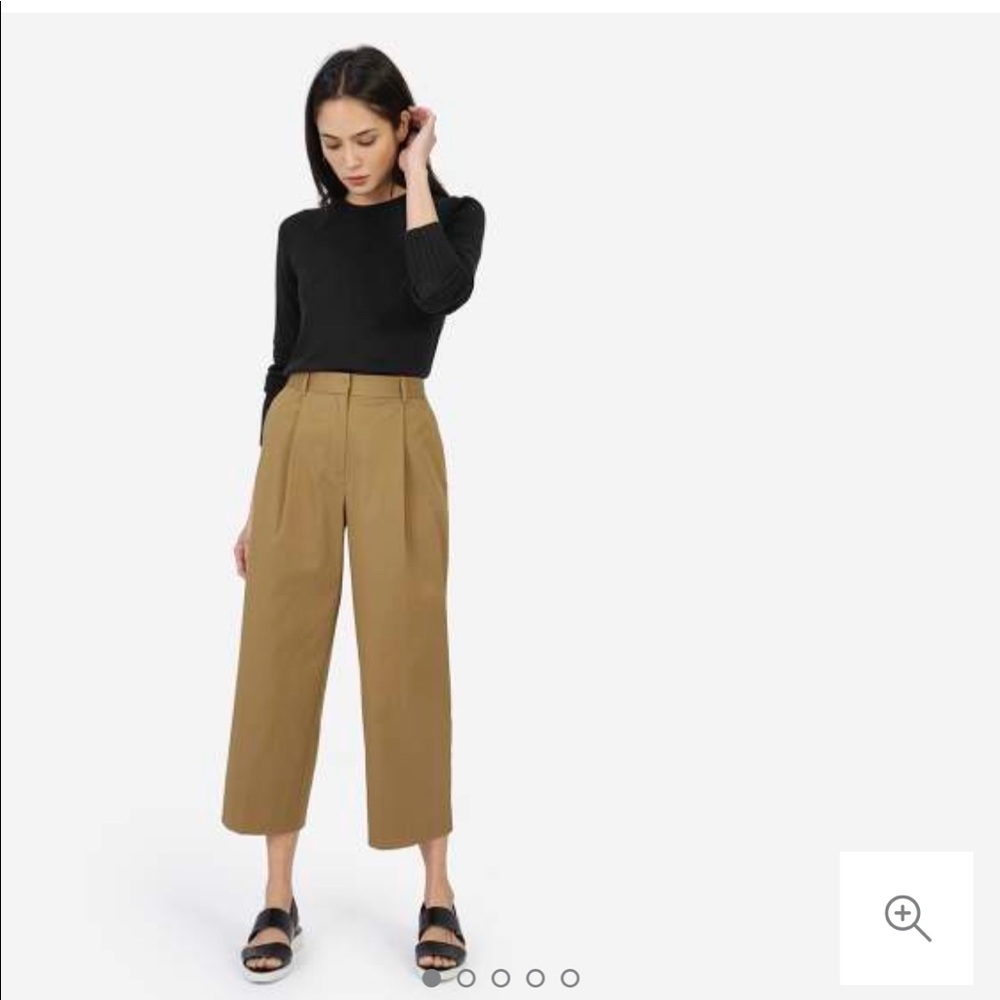 Everlane The Twill Crop Pant | 6 | pleated wideleg